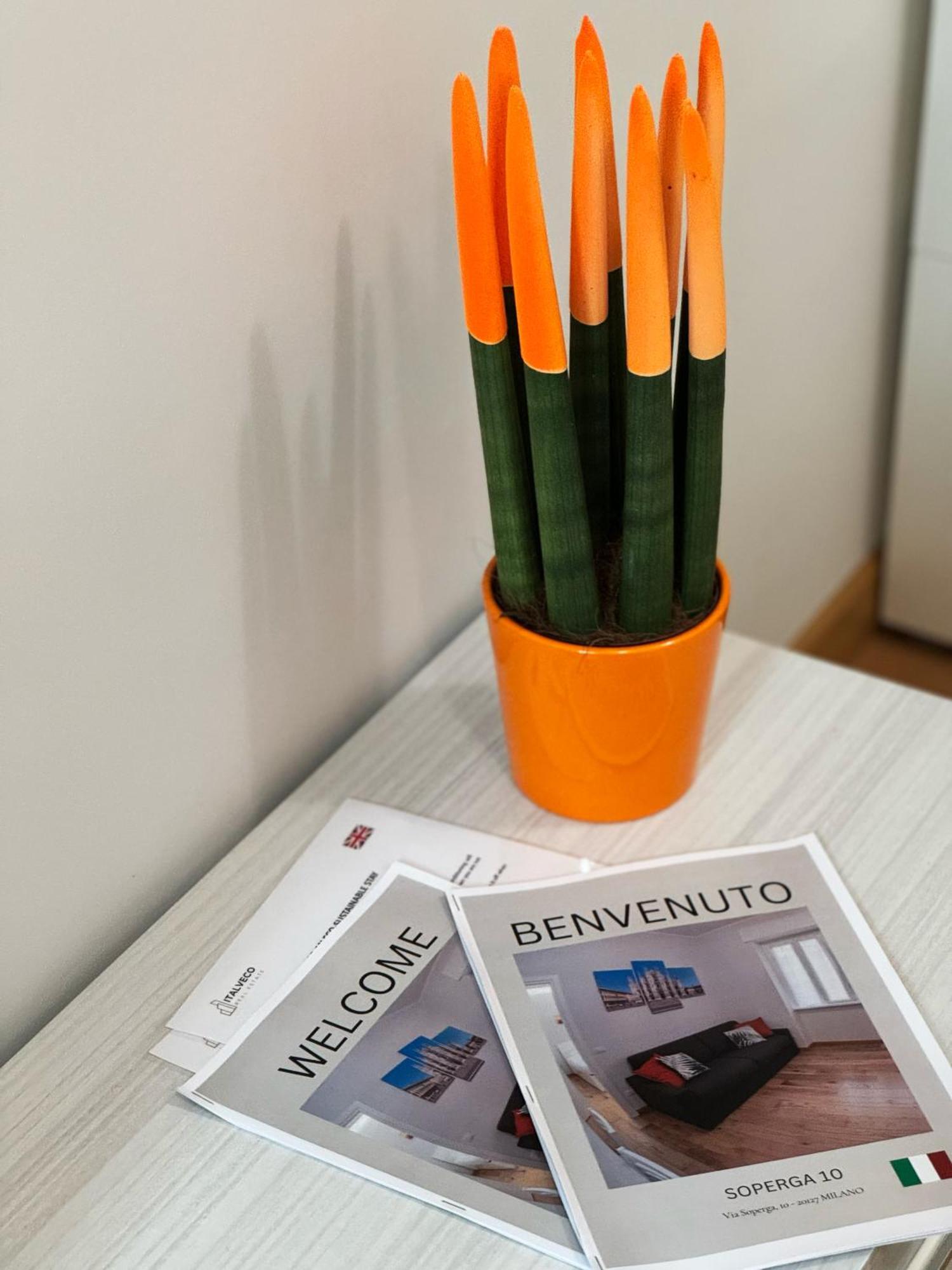 Gohost - City Hideaway A Few Minutes From Milano Centrale Buitenkant foto